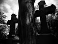 Franck Rondot Photographe   143   cimetiere  paris  pere lachaise