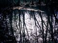 Franck Rondot Photographe   054   commelles  etangs  nature  oise
