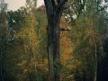 Franck Rondot Photographe   062   bois de bondy  montfermeil  parc