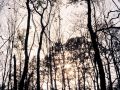 Franck Rondot Photographe   064   bois de bondy  montfermeil  parc