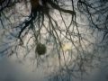 Franck Rondot Photographe   082   paris  urbain