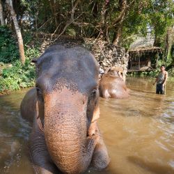 092 Thailande Franck Rondot Photographe 092 Thailande Franck Rondot Photographe