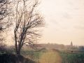 Franck Rondot Photographe   056   campagne  paysage  Seine et Marne