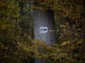 Franck Rondot Photographe   065   campagne  foret  soir