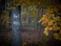 Franck Rondot Photographe   066   campagne  foret  soir